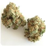 Шишки "White Widow" (Белая вдова) Гидропоника - Бошка VHQ в Краснокаменске Шишки "White Widow" (Белая вдова) Гидропоника - Бошка VHQ в Краснокаменске